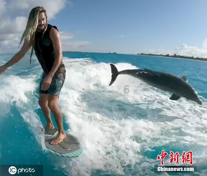 凭理解代码理解万物吗？游戏画面