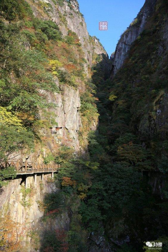 林志颖车祸之后，在病房内有一段时间了，他恢复的怎么样呢？游戏画面